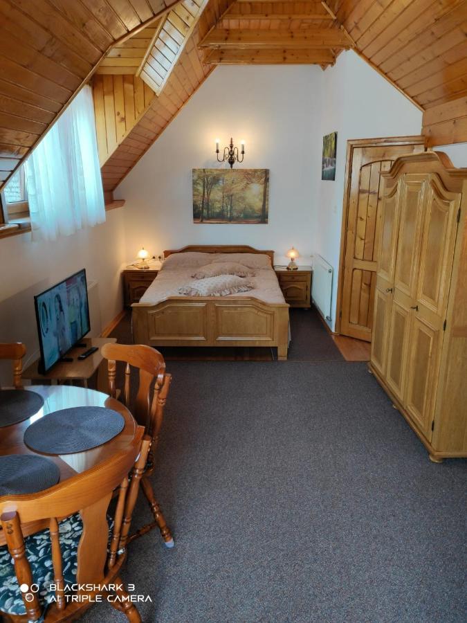 Apartment Garsoniera Mikha